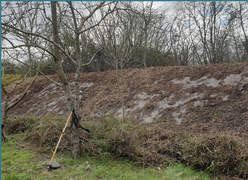 Dessouchage broyage souche Laval Mayenne