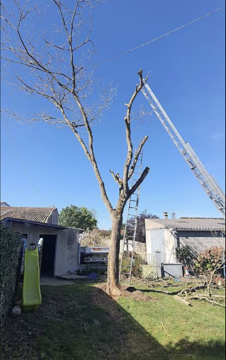 Jardin paysagé entretenu Laval 53