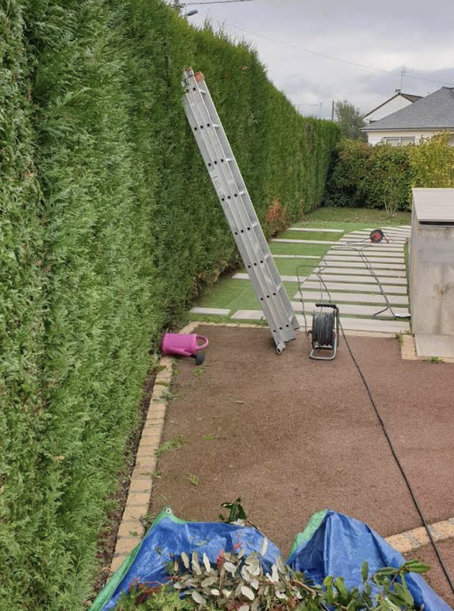 Taille décorative en boule arbuste Laval